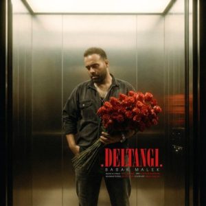 بابک ملک – دلتنگی